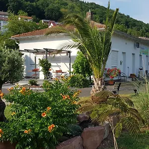 book here